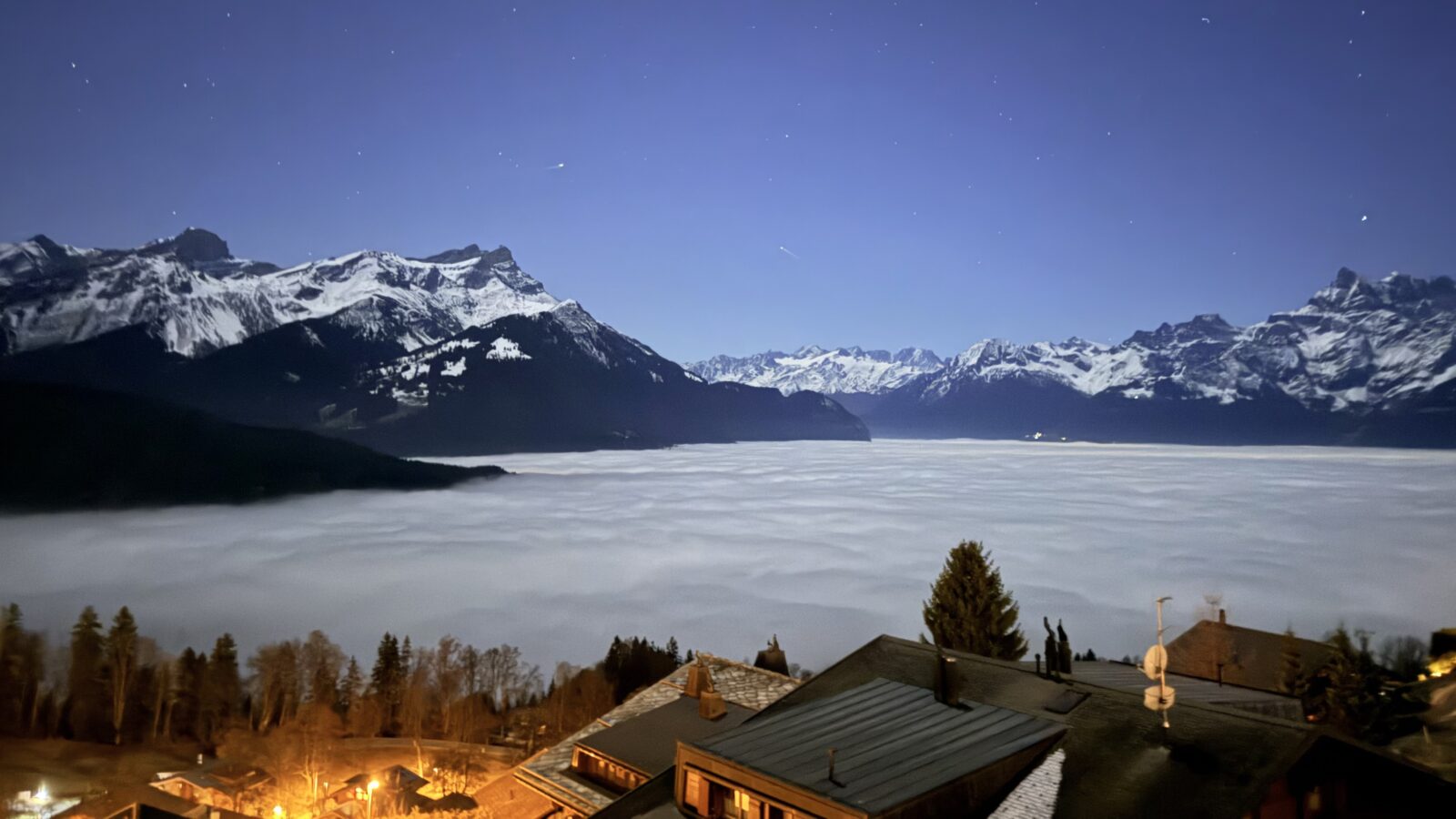 International Sports-Related Disputes in 2025 and What to Expect in 2026 - www.sportlegis.com