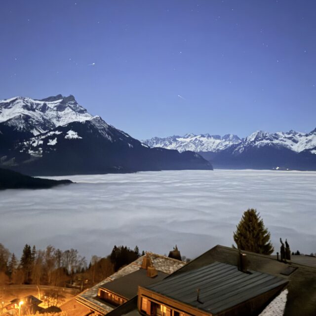 International Sports-Related Disputes in 2025 and What to Expect in 2026 - www.sportlegis.com